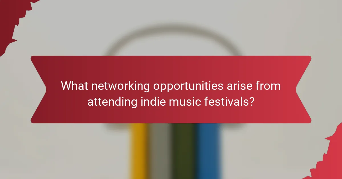 What networking opportunities arise from attending indie music festivals?
