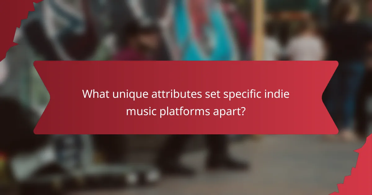 What unique attributes set specific indie music platforms apart?